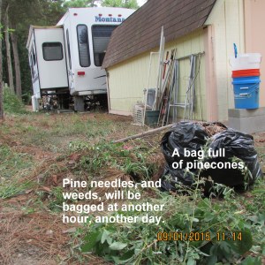 North side cleaned up