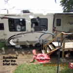 Rain splattered window