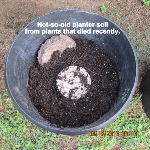 Previously used planter soil