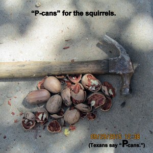 P-cans for the squirrels