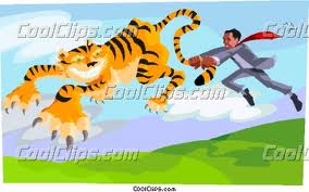 Tiger by the tail
