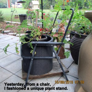 Chair for the planter
