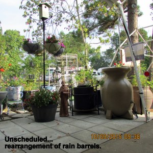 Yesterday, chair planter