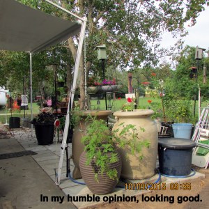 Repositioned rain barrels