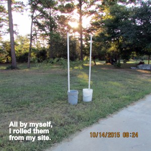 Two, fifty pound bases