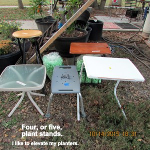 Four, or five, plant stands