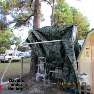 David's under the tarp
