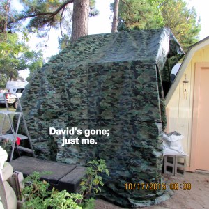 David's gone, just me