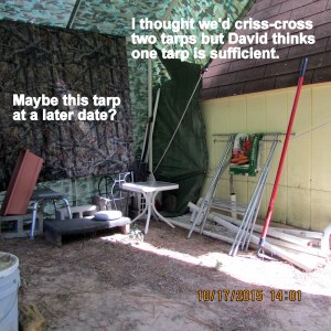 Only one tarp, not two