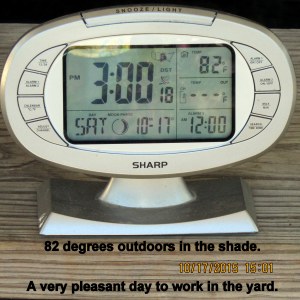 Temperature at three