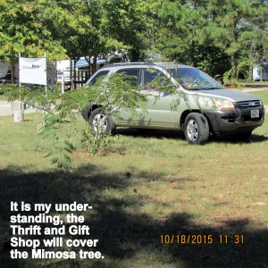 Where the building will be positioned