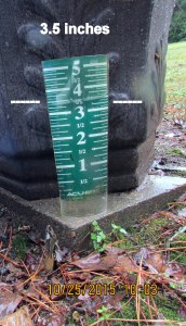 Rain gauge