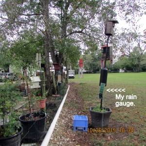 My rain gauge