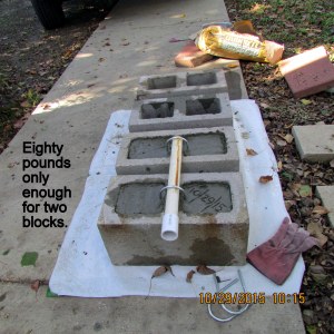 Eighty pounds filled two