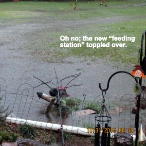 Feeding station is down