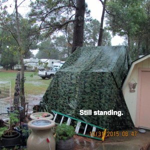 Shelter is still standing