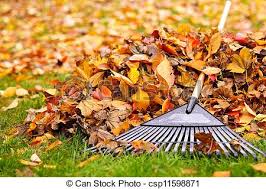Raking autumn leaves