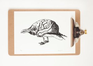 Bird brain