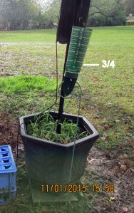 Three-fourth inch of rain