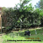 Collecting small branches