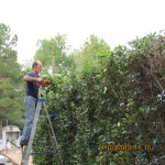 David cutting hedge (3)