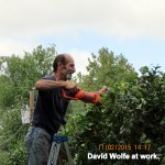 David cutting hedge (4)