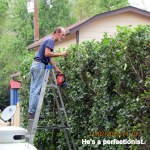 David is a perfectionist