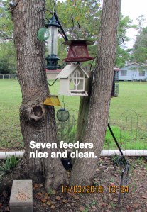 Seven clean feeders