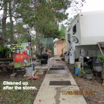 Cleaned up after the storm