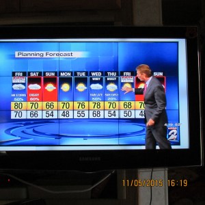 Forecast for the week