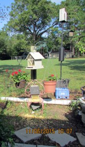 More feeders, different site