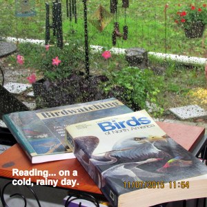 Reading bird books