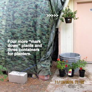 By the shelter entrance