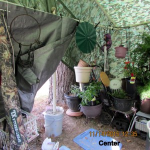 In the shelter center