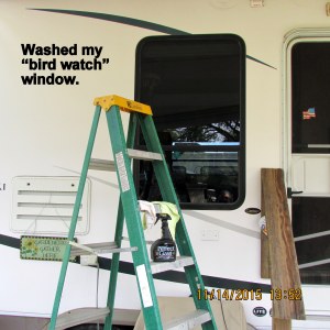 Washed the bird watch window