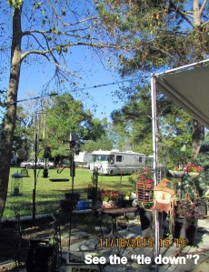 See the tie down? (2)