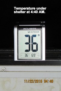 Temperature at four-forty in shelter