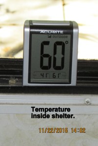 Temperature in shelter
