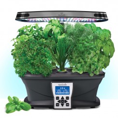 AeroGarden with lettuce