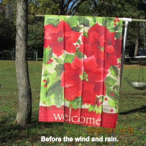 Before the wind and rain