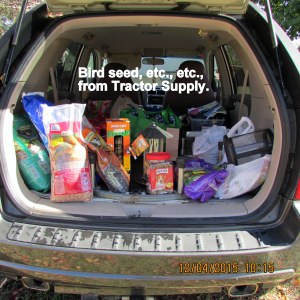 Bird seed in back of KIA