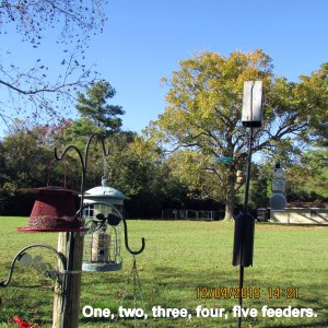 Five feeders