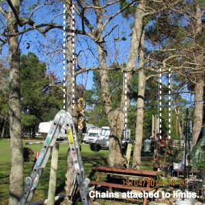 Chains from tree limbs