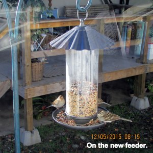 New feeder with three little birds