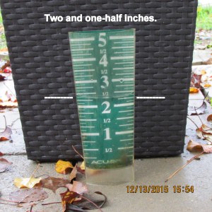 Two inches in rain gauge