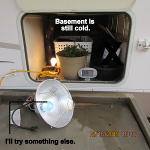 Grow light on display