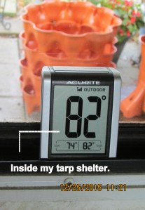 Temperature under tarp shelter