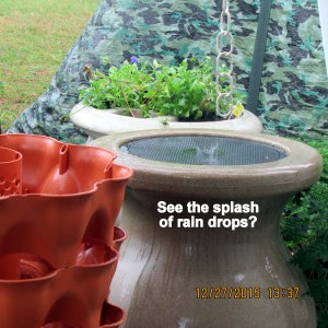 Rain dropping in rain barrel