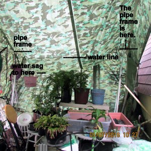 Sag and water on the tarp roof