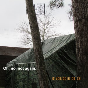 More water on tarp roof